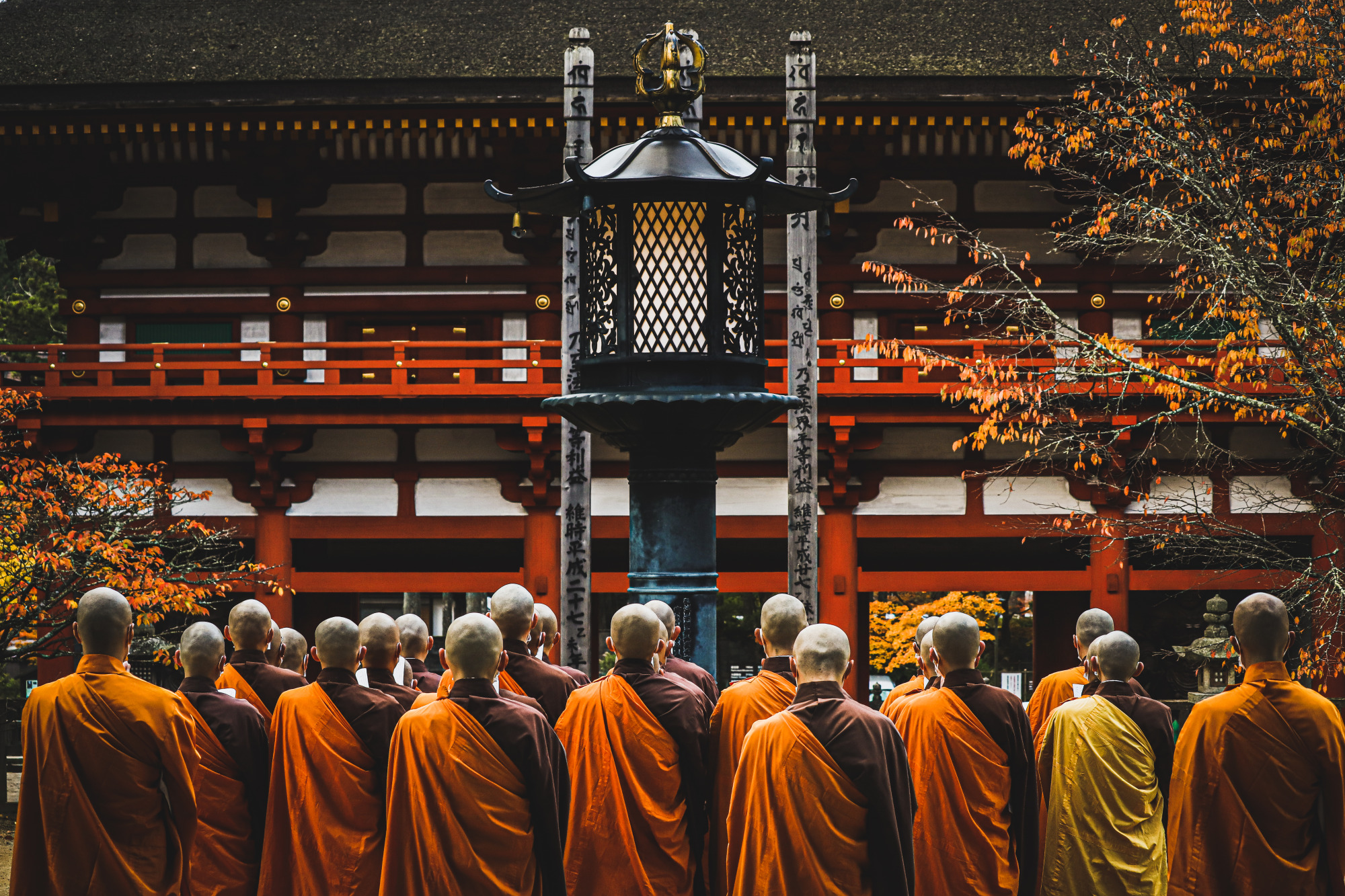 Koyasan Area: Majestic Temples and Rich Nature