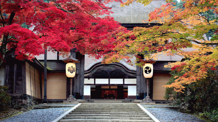 Koyasan to Kumano: the Ultimate Wakayama Itinerary