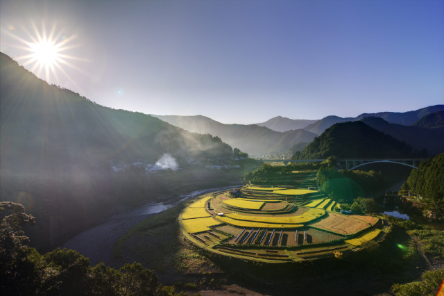 Aragi-jima Island Rice Terraces