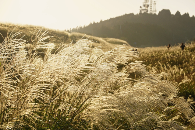 Oishi-kogen Highland