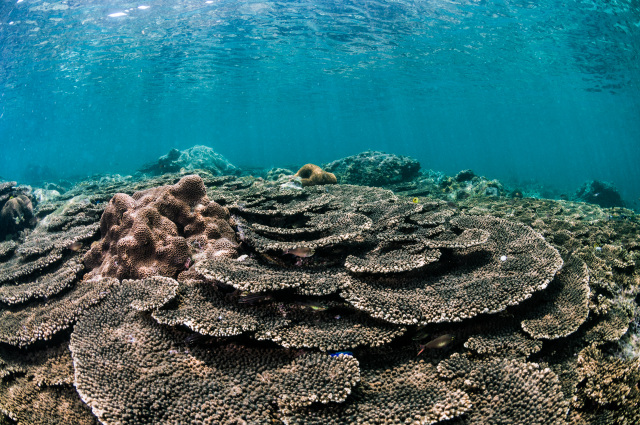Kushimoto Marine Park