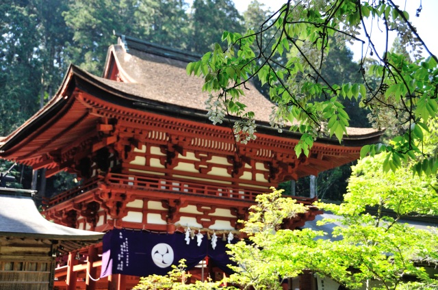 Niutsuhime Jinja (Niutsuhime Shrine)