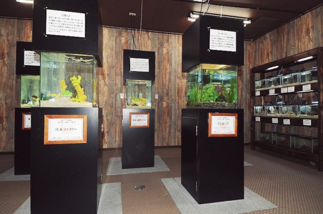 蝦蟹水族館